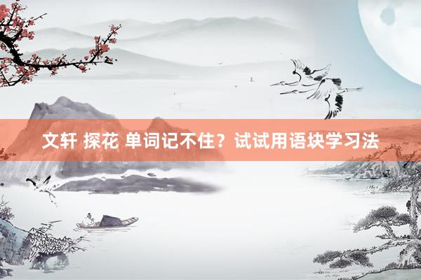 文轩 探花 单词记不住？试试用语块学习法