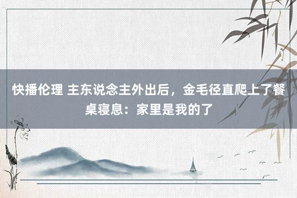 快播伦理 主东说念主外出后，金毛径直爬上了餐桌寝息：家里是我的了