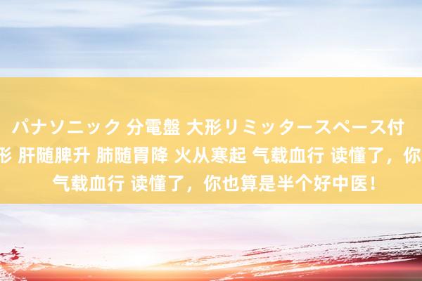 パナソニック 分電盤 大形リミッタースペース付 露出・半埋込両用形 肝随脾升 肺随胃降 火从寒起 气载血行 读懂了，你也算是半个好中医！