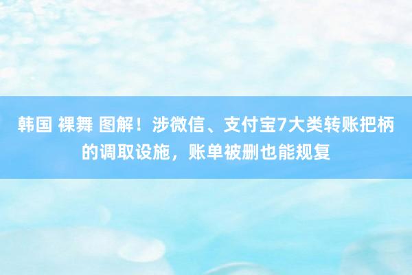 韩国 裸舞 图解！涉微信、支付宝7大类转账把柄的调取设施，账单被删也能规复